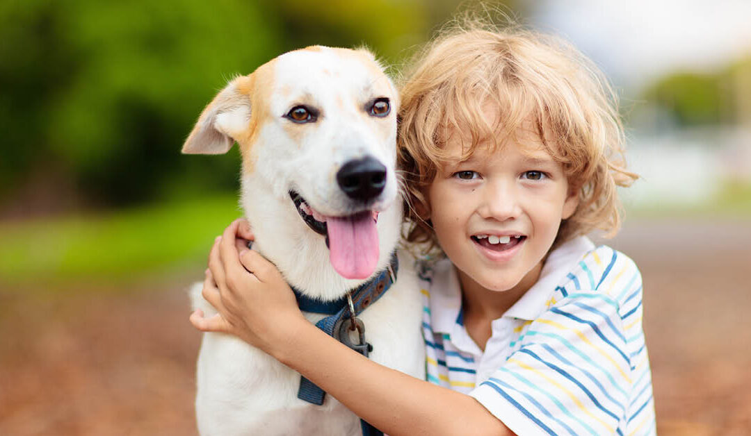 Hoe betrek je kinderen bij het afscheid van een huisdier?